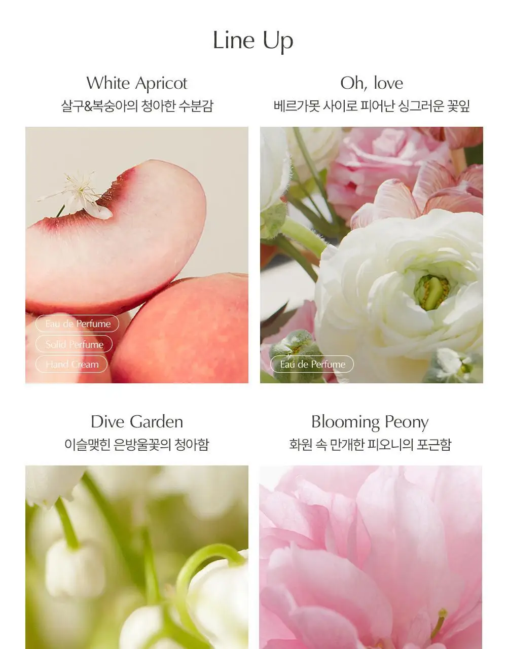 [은방울꽃정원향] 루아페 다이브 가든 EDP 30ml (단품/기획) 상세페이지 14